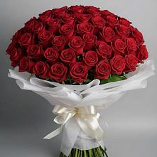 Букет 101 Красная роза Блэк Мэджик в Первомайске