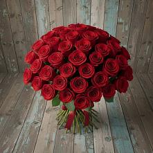 Букет 55 Красных роз Фридом #REPLACE_PRED# Первомайске