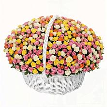 Премиум букет из: Розы в Первомайске