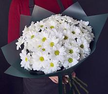 Букет цветов из:  Хризантемы #REPLACE_PRED# Первомайске