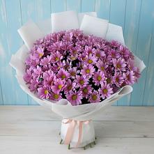 Букет цветов из:  Хризантемы в Первомайске
