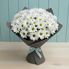 Букет цветов из:  Хризантемы #REPLACE_PRED# Первомайске