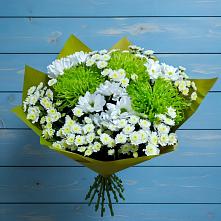 Букет цветов из:  Хризантемы в Первомайске