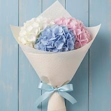 Букет цветов из:  Гортензия #REPLACE_PRED# Первомайске