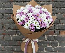 Букет цветов из:  Хризантемы в Первомайске