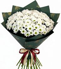 Букет цветов из:  Хризантемы #REPLACE_PRED# Первомайске