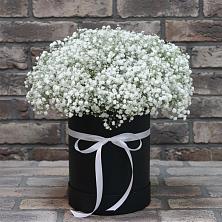 Цветочная композиция из Гипсофила в шляпной коробке в Первомайске