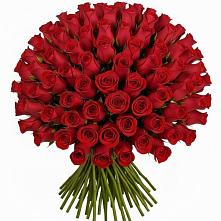 Букет Красные розы Чери Лав в Первомайске